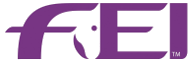 FEI profiil